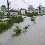 बर्दियामा २५० बढि घर डुबानमा, पसेका पशुचौपाया र व्यक्तिहरुको उद्धार