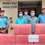 १ सय ९८ केजी गाँजासहित तीन जना पक्राउ