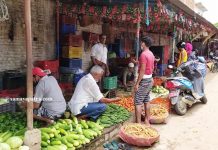 बजार मूल्य राम्रो पाएपछि बाँकेका किसान सागसब्जी खेतीतर्फ आकर्षित