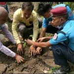 राप्तीसोनारीको तीन सामुदायिक वनमा ९ सय बृक्षारोपण