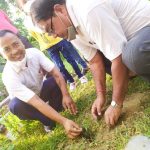 जेसीज सप्ताह शुरू : आईतबार बृक्षाराेपण, साेमबार रक्तदान