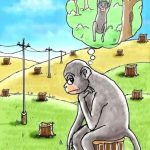 अदालतको मर्यादा !