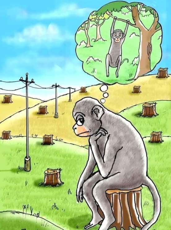 FB_IMG_1610359605149