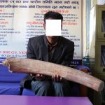 १० किलोकाे हात्तीकाे दाँत सहित एक पक्राउ