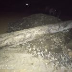 सालको ३ वटा गोलिया काठ बरामद