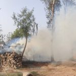नरैनापुरकाे चाैबिस बिगामा आगलागी, ६ घर नष्ट