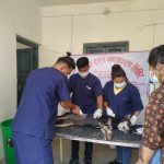 नेपालगञ्जमा सामुदायिक कुकुरको बन्ध्याकरण