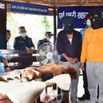 रेडपाण्डाको छाला र भालुको पित्तसहित ३ जना पक्राउ