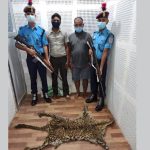 बाघको छालासहित दुई जना पक्राउ