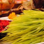 बडा दशैंअन्तर्गत आज मुख्य दिन विजया दशमी, मान्यजनबाट टीका र आशिर्वाद थापेर मनाइँदै