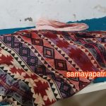 बर्दियाको सैनवारकी ४१ वर्षीय चौधरीलाई बाघले खायो
