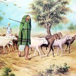 प्रदेश सरकारले गोठालो भत्ता दिने