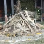 दहन पुर्व गरिन्छ होलिकाको पुजा, के चढाइन्छ यसमा खास..
