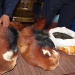 बिक्री गर्न नेपालगञ्ज ल्याएको रेडपाण्डाको छालासहित ६ जना पक्राउ