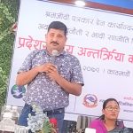 पत्रकार महासंघमा ३०० उजुरी