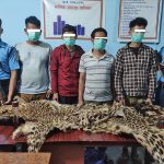 बाघको छालासहित कैलालीमा चार जना पक्राउ