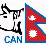 नेपाल टी-२० लिग स्थगित, २५ मंसिरदेखि गर्ने प्रस्ताव