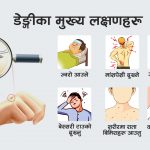 डेङ्गी नियन्त्रणमा पालिका सरकार जिम्मेवार बन्नुपर्ने !
