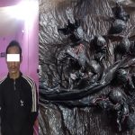 ११ ग्राम ब्राउन सुगरसहित थप दुई युवा जमुनाहाबाट पक्राउ