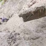 कर्णालीमा असोजमा आएको बिपदबाट ४९ को मृत्यु, २५ बेपत्ता