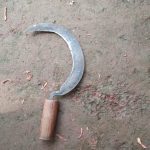 हँसिया प्रहार गरेर एक जनाको हत्या