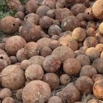 जग खन्दा तोपका गोला भेटियो