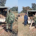 नरैनापुर-६ बाट सालकाे अबैध काठसहित तीन जना पक्राउ