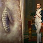 नेपोलियन बोनापार्टको लिङ्ग प्रदर्शनीमा