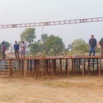 तयार हुँदै प्रदेशस्तरीय महोत्सव स्थल