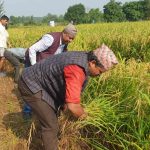 माओवादी केन्द्रका नेता-कार्यकर्ताको श्रमदान अभियान