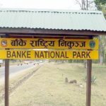 बाँके राष्ट्रिय निकुञ्जमा आजदेखि टाइम कार्ड लागू