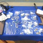 खजुरामा भएको सिलसिलेवार चोरी घट्नाका चोर सामानसहित पक्राउ