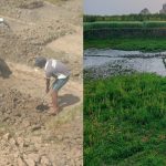 सार्वजनिक पोखरीमा संरचना निमार्ण नगर्न अदालतको आदेश