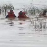 बाँकेकाे माेरङ्गा खाेलामा आएको बाढीमा फसेका एककाे उद्वार