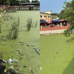 बागेश्वरी मन्दिर क्षेत्र दुर्गन्धित बन्दै