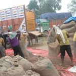 नेपालगञ्ज नाकाबाट जडीबुटी निकासीमा वृद्धि