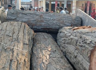 नरैनापुरमा ५५ क्यूफिट अवैध गाेलियासहित ट्याक्टर बरामद