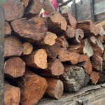 प्रहरी ग¥यो गनापुरबाट अवैध खयर बोकेको ट्रक नियन्त्रण