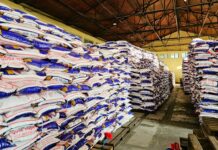 खाद्य व्यवस्था नेपालगन्जमा थन्कियो १९ हजार क्विन्टल चामल