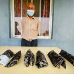 सशस्त्र प्रहरी बल नम्बर ३० गणद्वारा ठूलो मात्रामा लागूऔषध बरामद