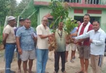 कालो बेसार तथा फलफूल खेतीसम्बन्धी तालिम तथा बिरुवा वितरण