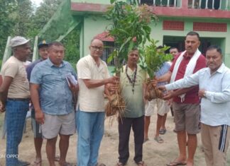 कालो बेसार तथा फलफूल खेतीसम्बन्धी तालिम तथा बिरुवा वितरण