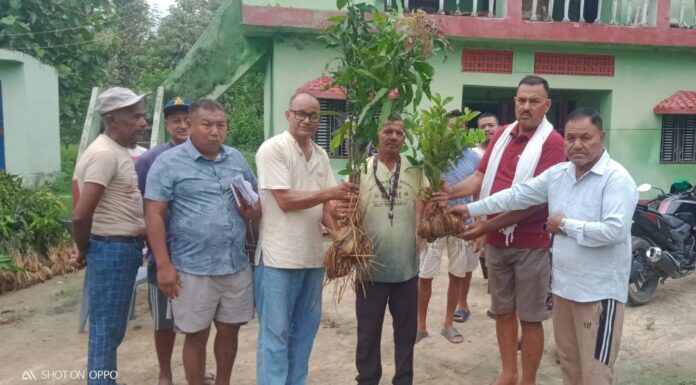 कालो बेसार तथा फलफूल खेतीसम्बन्धी तालिम तथा बिरुवा वितरण